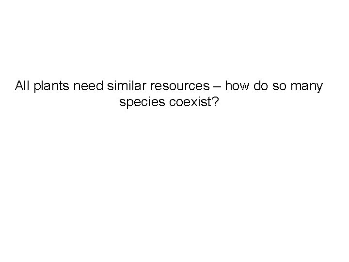 All plants need similar resources – how do so many species coexist? 