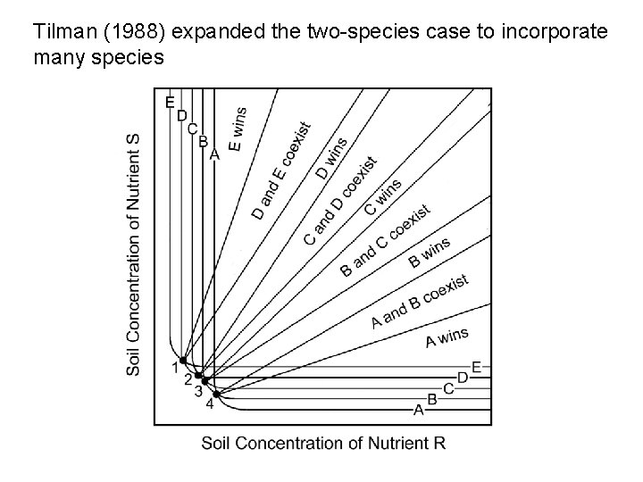 Tilman (1988) expanded the two-species case to incorporate many species 