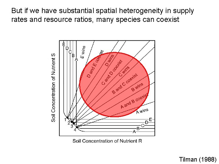 But if we have substantial spatial heterogeneity in supply rates and resource ratios, many