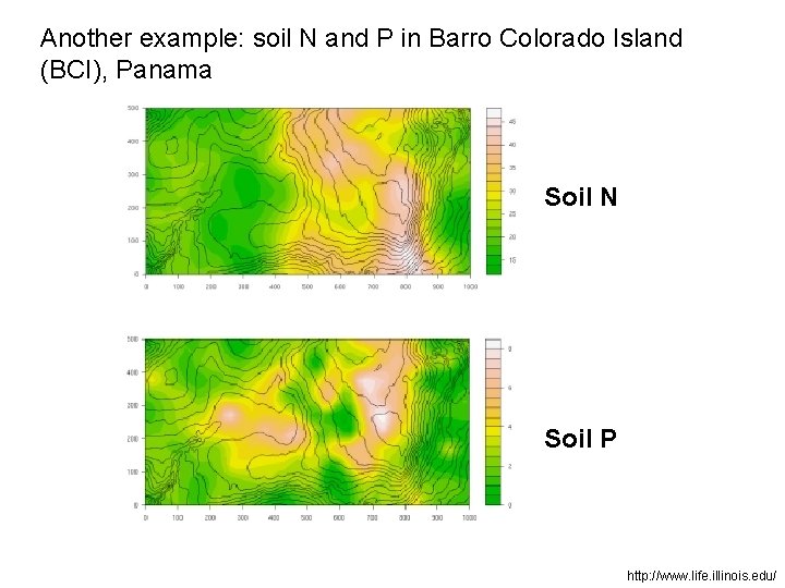 Another example: soil N and P in Barro Colorado Island (BCI), Panama Soil N