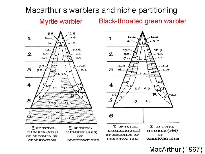 Macarthur’s warblers and niche partitioning Myrtle warbler Black-throated green warbler Mac. Arthur (1967) 