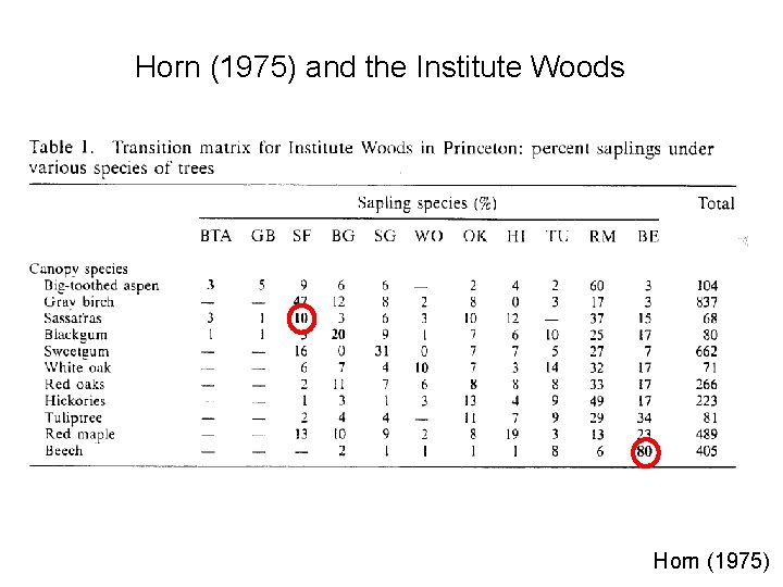 Horn (1975) and the Institute Woods Horn (1975) 