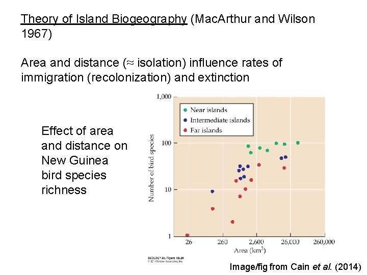 Theory of Island Biogeography (Mac. Arthur and Wilson 1967) Area and distance (≈ isolation)