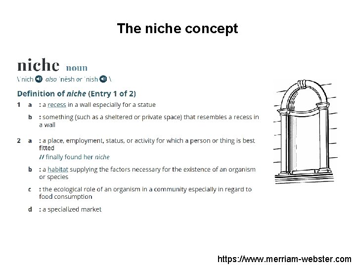 The niche concept https: //www. merriam-webster. com 