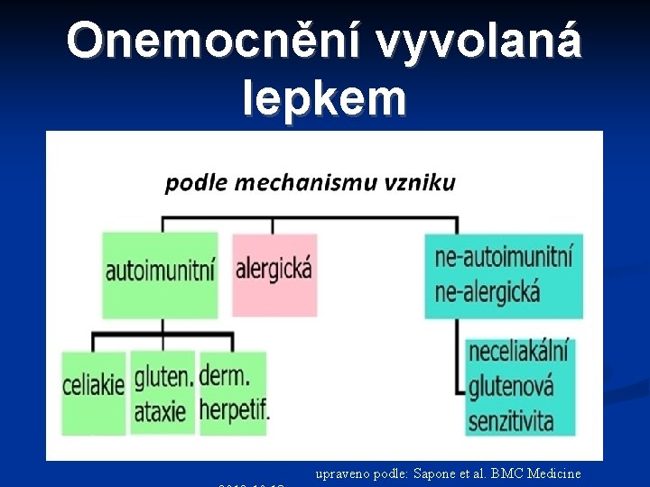 Onemocnění vyvolaná lepkem upraveno podle: Sapone et al. BMC Medicine 