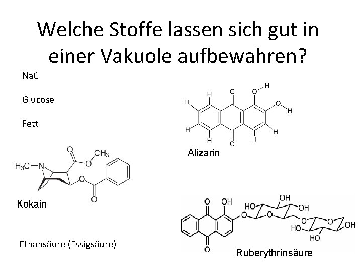 Welche Stoffe lassen sich gut in einer Vakuole aufbewahren? Na. Cl Glucose Fett Alizarin