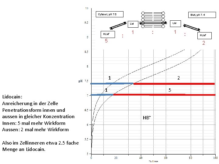 Cytosol, p. H 7. 0 Blut, p. H 7. 4 Lid HLid+ 5 :