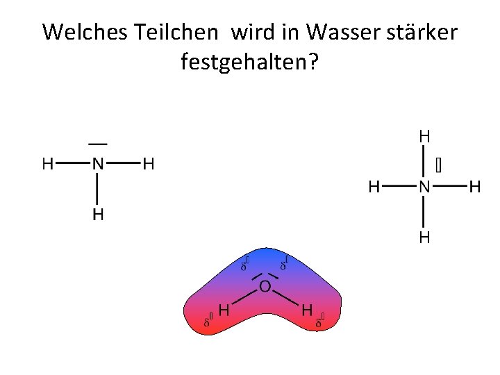 Welches Teilchen wird in Wasser stärker festgehalten? 