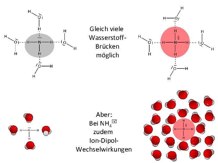 Gleich viele Wasserstoff. Brücken möglich Aber: Bei NH 4+ zudem Ion-Dipol. Wechselwirkungen 