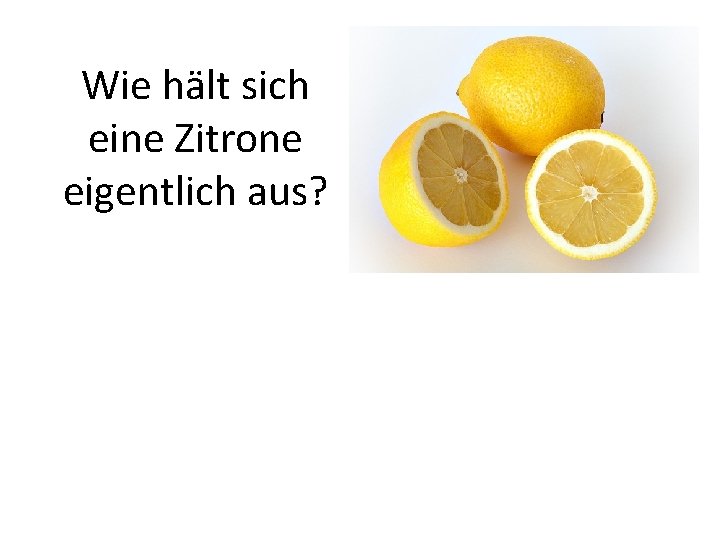 Wie hält sich eine Zitrone eigentlich aus? 
