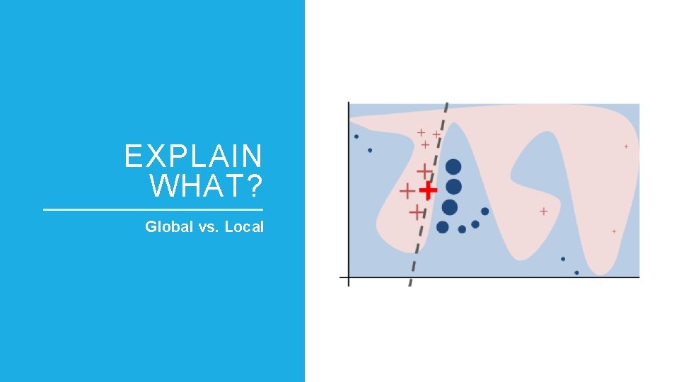 EXPLAIN WHAT? Global vs. Local 