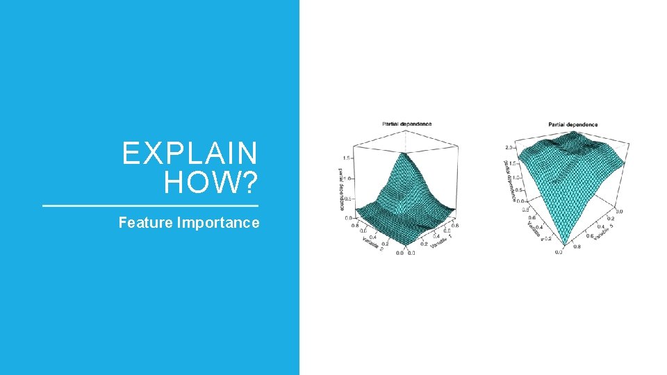 EXPLAIN HOW? Feature Importance 