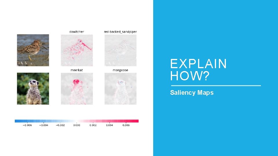 EXPLAIN HOW? Saliency Maps 