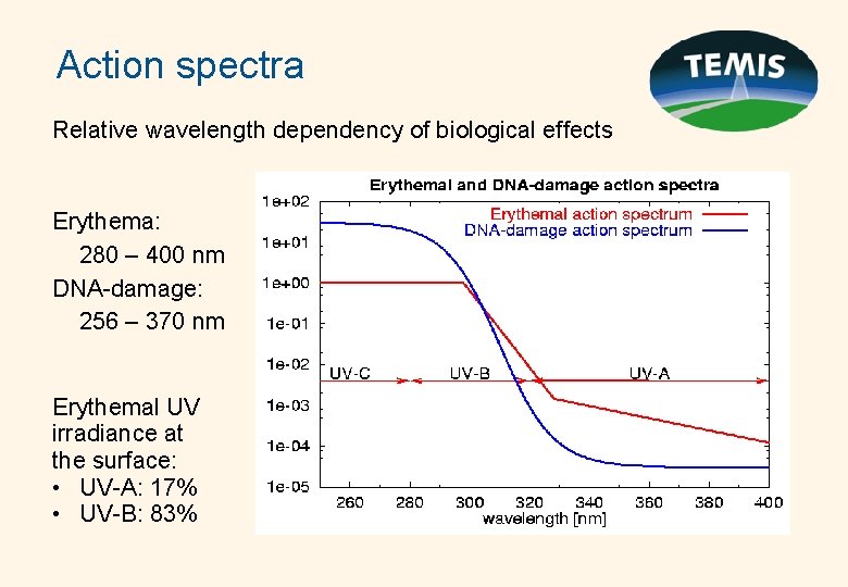 Action spectra Relative wavelength dependency of biological effects Erythema: 280 – 400 nm DNA-damage: