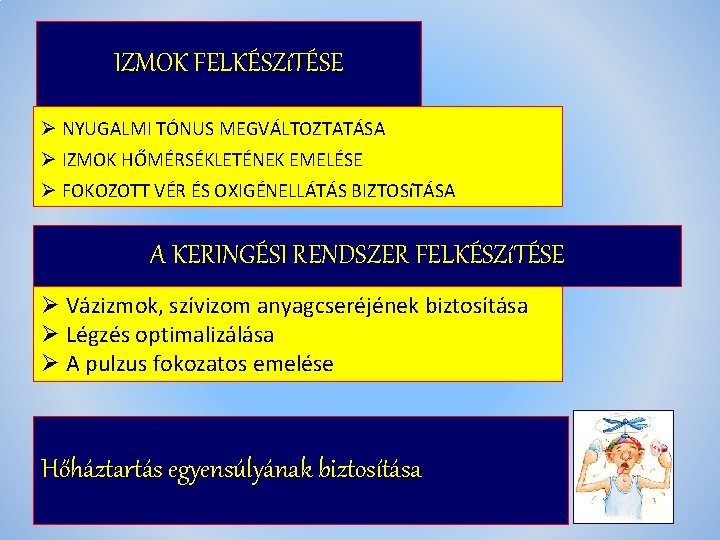 IZMOK FELKÉSZíTÉSE Ø NYUGALMI TÓNUS MEGVÁLTOZTATÁSA Ø IZMOK HŐMÉRSÉKLETÉNEK EMELÉSE Ø FOKOZOTT VÉR ÉS