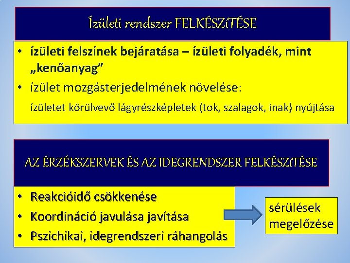 Ízületi rendszer FELKÉSZíTÉSE • ízületi felszínek bejáratása – ízületi folyadék, mint „kenőanyag” • ízület