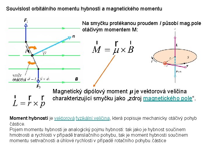 Souvislost orbitálního momentu hybnosti a magnetického momentu Na smyčku protékanou proudem I působí mag.