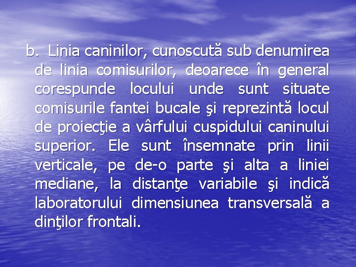 b. Linia caninilor, cunoscută sub denumirea de linia comisurilor, deoarece în general corespunde locului