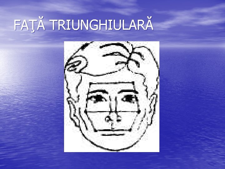 FAŢĂ TRIUNGHIULARĂ FAŢĂ TRIUNGHIULARĂ