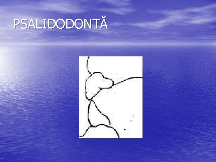 PSALIDODONTĂ PSALIDODONTĂ