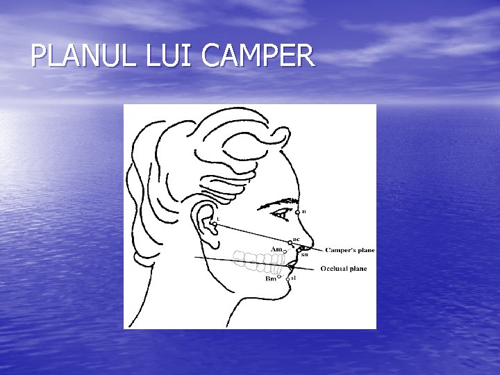 PLANUL LUI CAMPER 