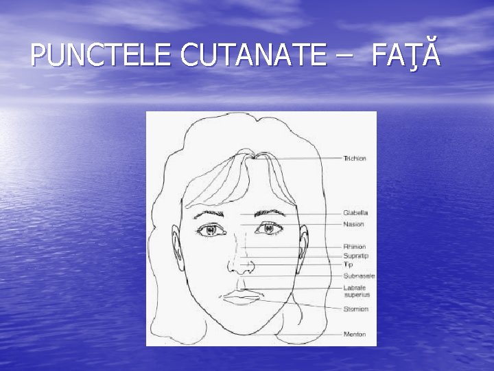 PUNCTELE CUTANATE – FAŢĂ PUNCTELE CUTANATE – FAŢĂ