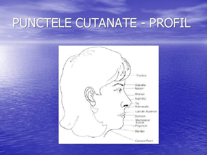 PUNCTELE CUTANATE - PROFIL PUNCTELE CUTANATE - PROFIL