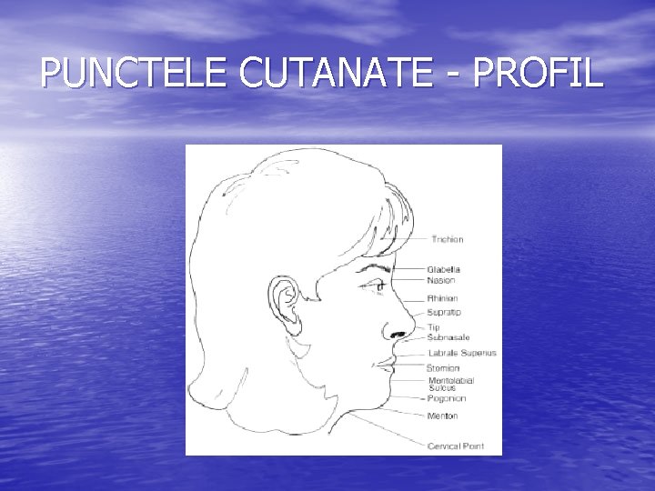 PUNCTELE CUTANATE - PROFIL 