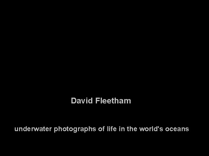 David Fleetham underwater photographs of life in the world's oceans 