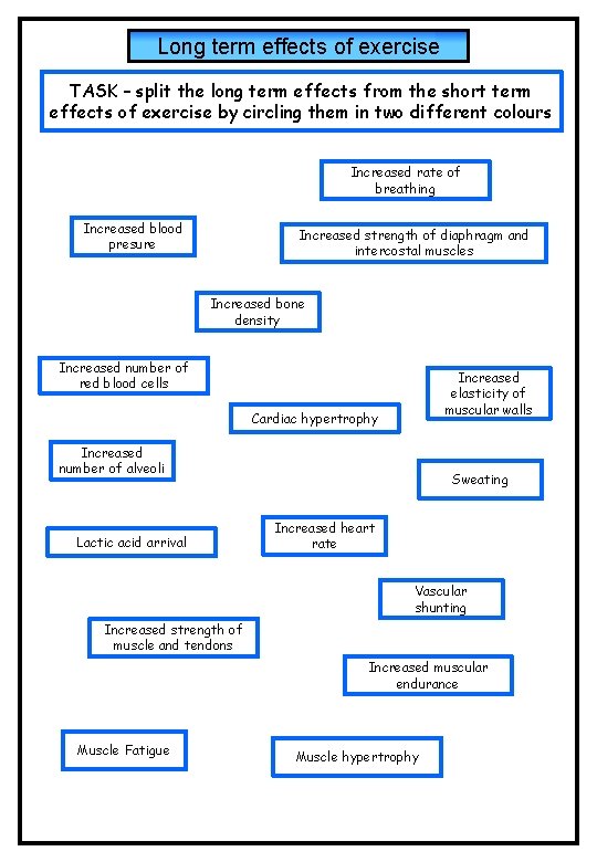 Long term effects of exercise TASK – split the long term effects from the