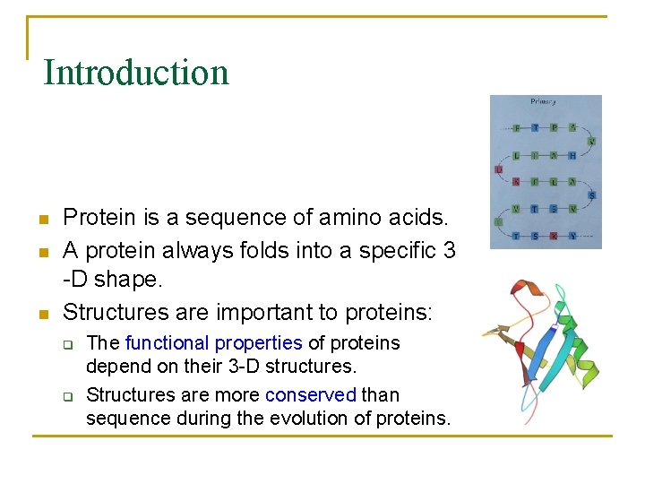 Introduction n Protein is a sequence of amino acids. A protein always folds into