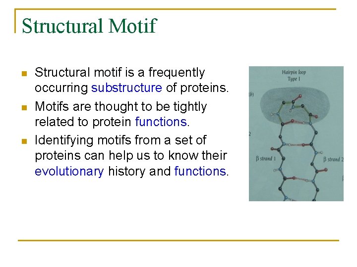 Structural Motif n n n Structural motif is a frequently occurring substructure of proteins.