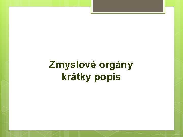 Zmyslové orgány krátky popis 