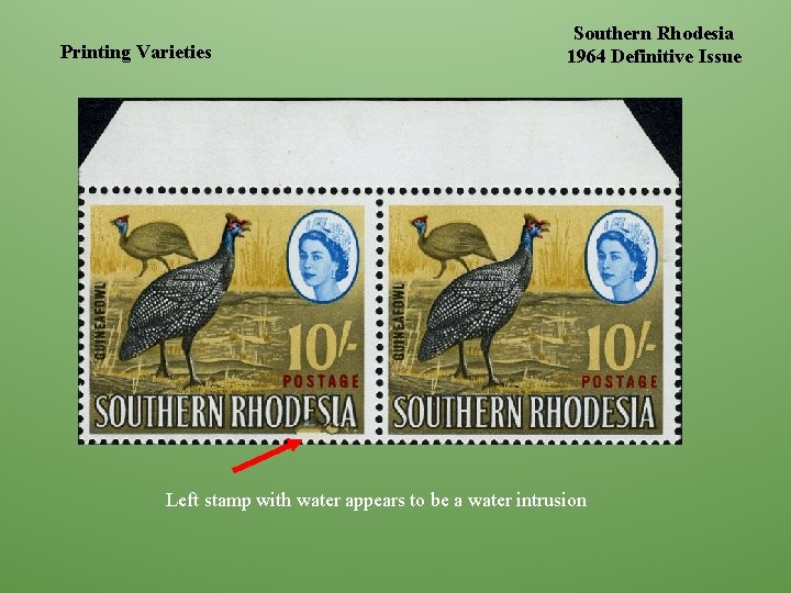 Printing Varieties Southern Rhodesia 1964 Definitive Issue Left stamp with water appears to be