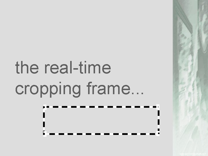 the real-time cropping frame. . . 