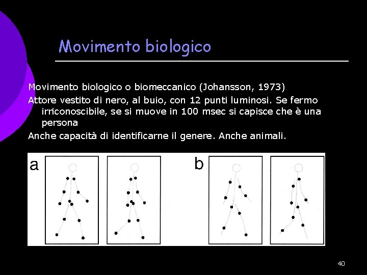 Movimento biologico o biomeccanico (Johansson, 1973) Attore vestito di nero, al buio, con 12