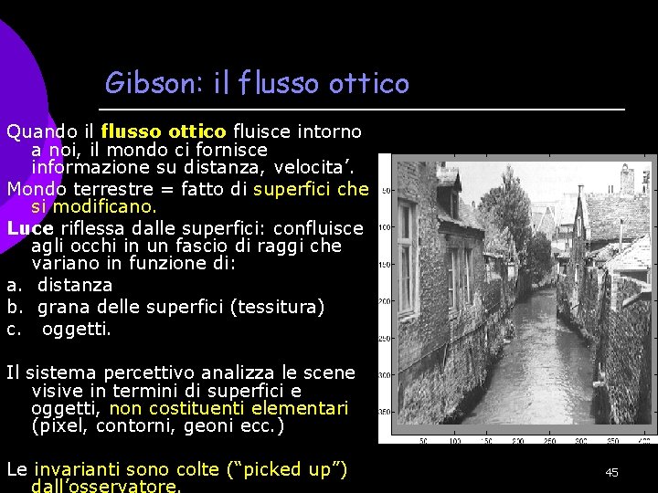Gibson: il flusso ottico Quando il flusso ottico fluisce intorno a noi, il mondo