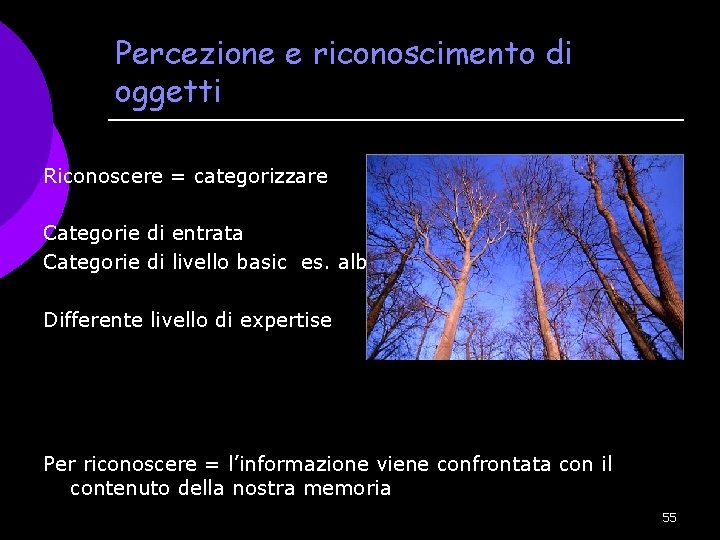 Percezione e riconoscimento di oggetti Riconoscere = categorizzare Categorie di entrata Categorie di livello