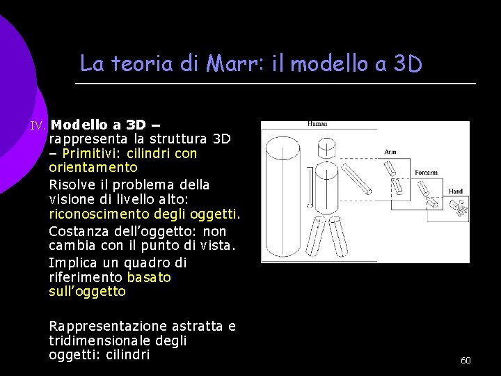 La teoria di Marr: il modello a 3 D IV. Modello a 3 D