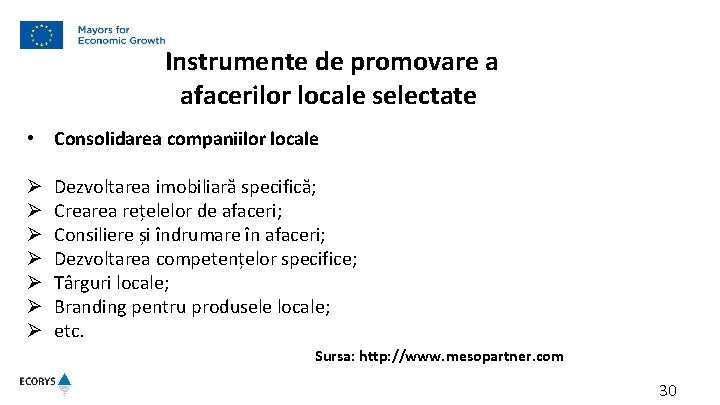  Instrumente de promovare a afacerilor locale selectate • Consolidarea companiilor locale Ø Ø