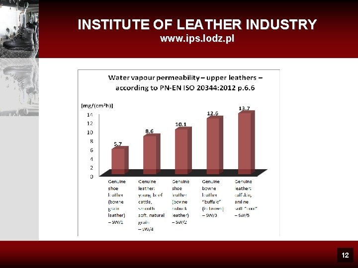 INSTITUTE OF LEATHER INDUSTRY www. ips. lodz. pl 12 