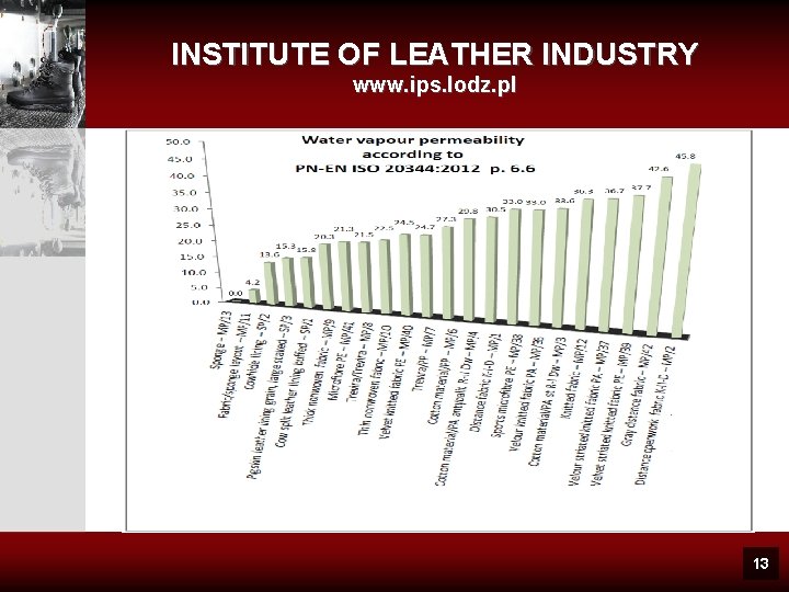 INSTITUTE OF LEATHER INDUSTRY www. ips. lodz. pl 13 