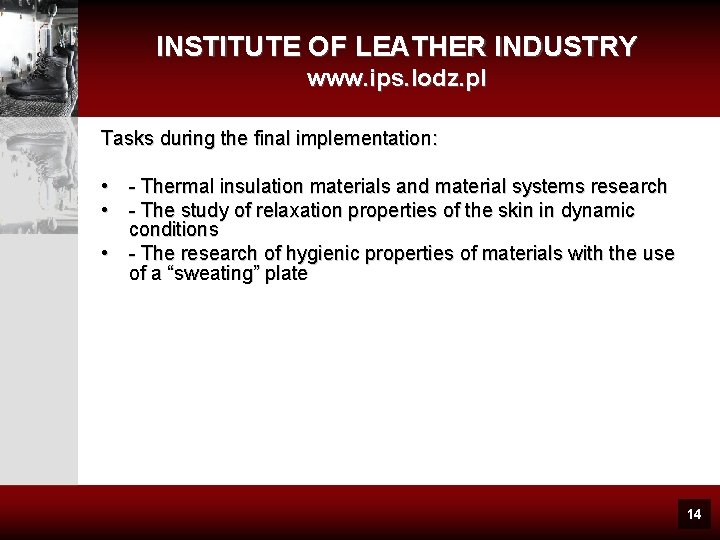 INSTITUTE OF LEATHER INDUSTRY www. ips. lodz. pl Tasks during the final implementation: •