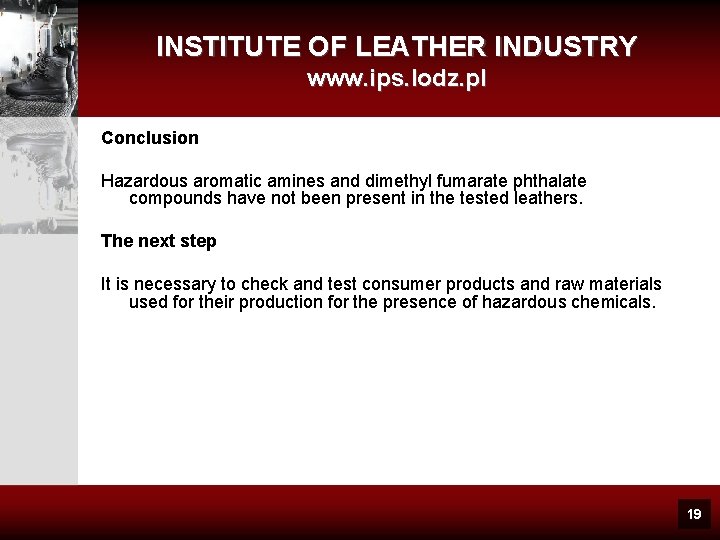 INSTITUTE OF LEATHER INDUSTRY www. ips. lodz. pl Conclusion Hazardous aromatic amines and dimethyl