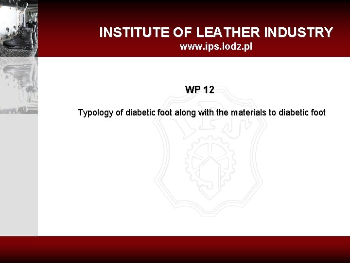 INSTITUTE OF LEATHER INDUSTRY www. ips. lodz. pl WP 12 Typology of diabetic foot