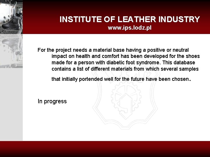 INSTITUTE OF LEATHER INDUSTRY www. ips. lodz. pl For the project needs a material