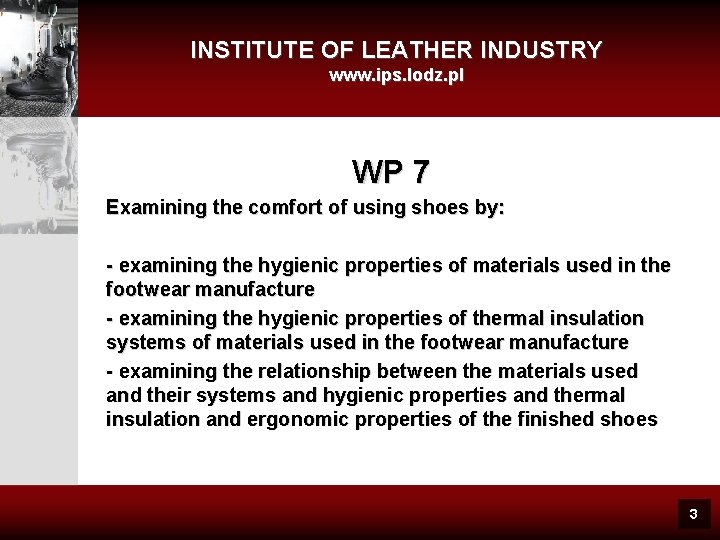 INSTITUTE OF LEATHER INDUSTRY www. ips. lodz. pl WP 7 Examining the comfort of