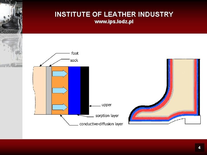 INSTITUTE OF LEATHER INDUSTRY www. ips. lodz. pl 4 