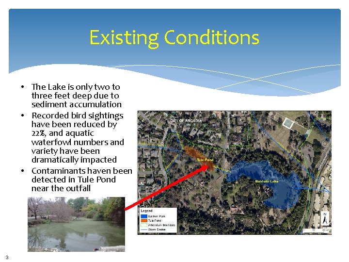 Existing Conditions • The Lake is only two to three feet deep due to