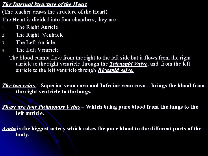 The Internal Structure of the Heart (The teacher draws the structure of the Heart)